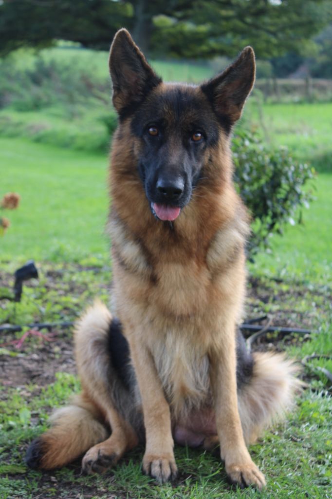 Umtitie de la Légende d'Asgot